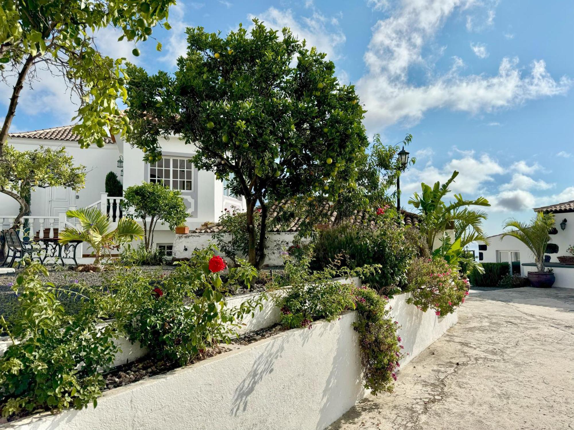 Casa Vista Mar 1 Los Laureles 埃尔帕索 外观 照片